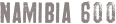 Project name
